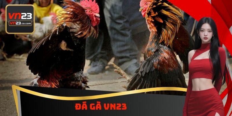 Đá Gà VN23 - Tìm Hiểu Thông Tin Quan Trọng Về Luật Chơi 4 Đá Gà VN23 - Tìm Hiểu Thông Tin Quan Trọng Về Luật Chơi